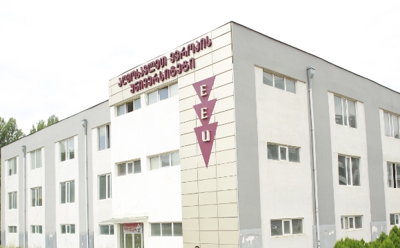 The University of Georgia - VPSA Education Consultancy